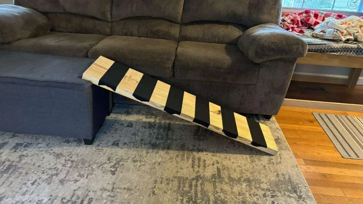 A temporary dog agility walk is easy to make out of a piece of lumber and grip tape