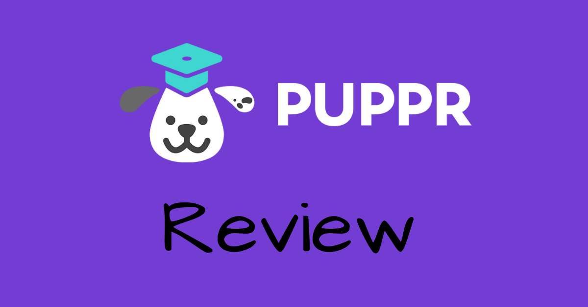 Puppr Review: Our Favorite Dog Training App
