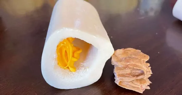 Diy stuffed dog bone with jerky and cheese