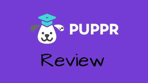 puppr review a review of our favorite dog training app 1 Puppr app review featured image on purple background