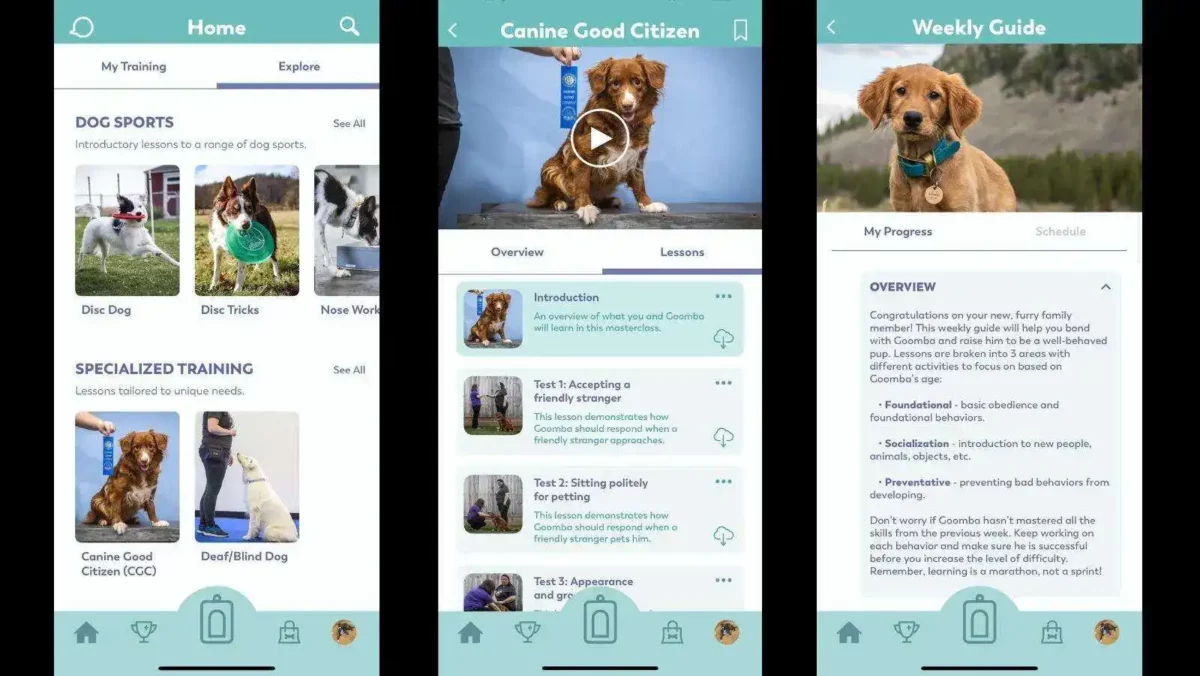 puppr premium offers additional lessons masterclasses live chat and a puppy guide 1 Puppr review: a review of our favorite dog training app! 6