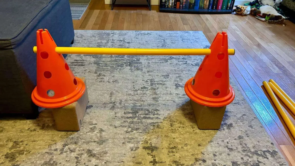 household items can be used to increase the height of your jump if it not adjustable Diy dog agility jumps: 4 easy options your dog will love 2