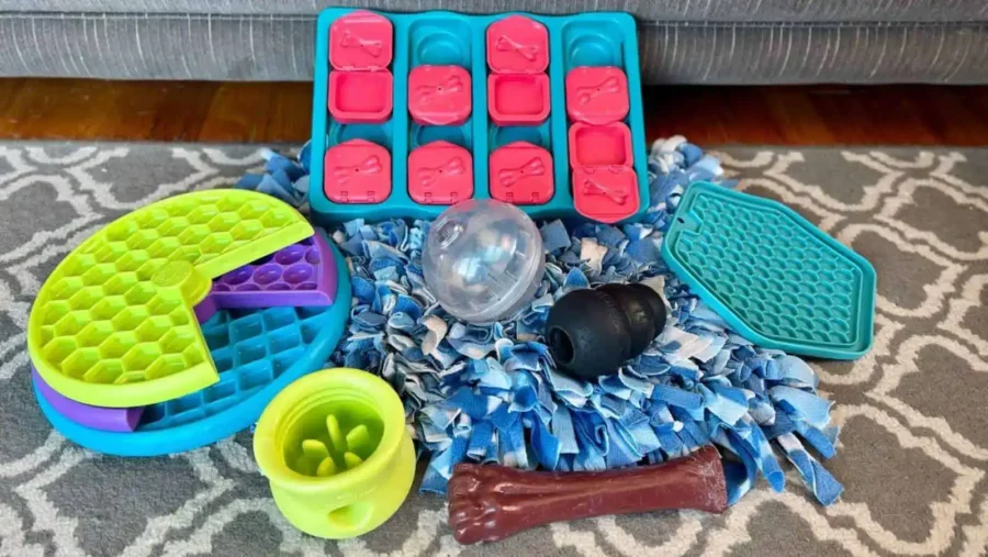 Our favorite canine enrichment toys your dog will love