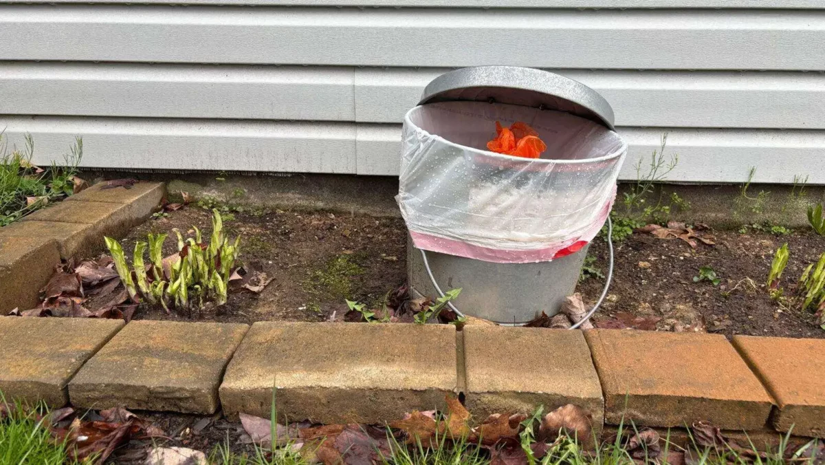 5 options for what to do with dog poop until garbage day 2