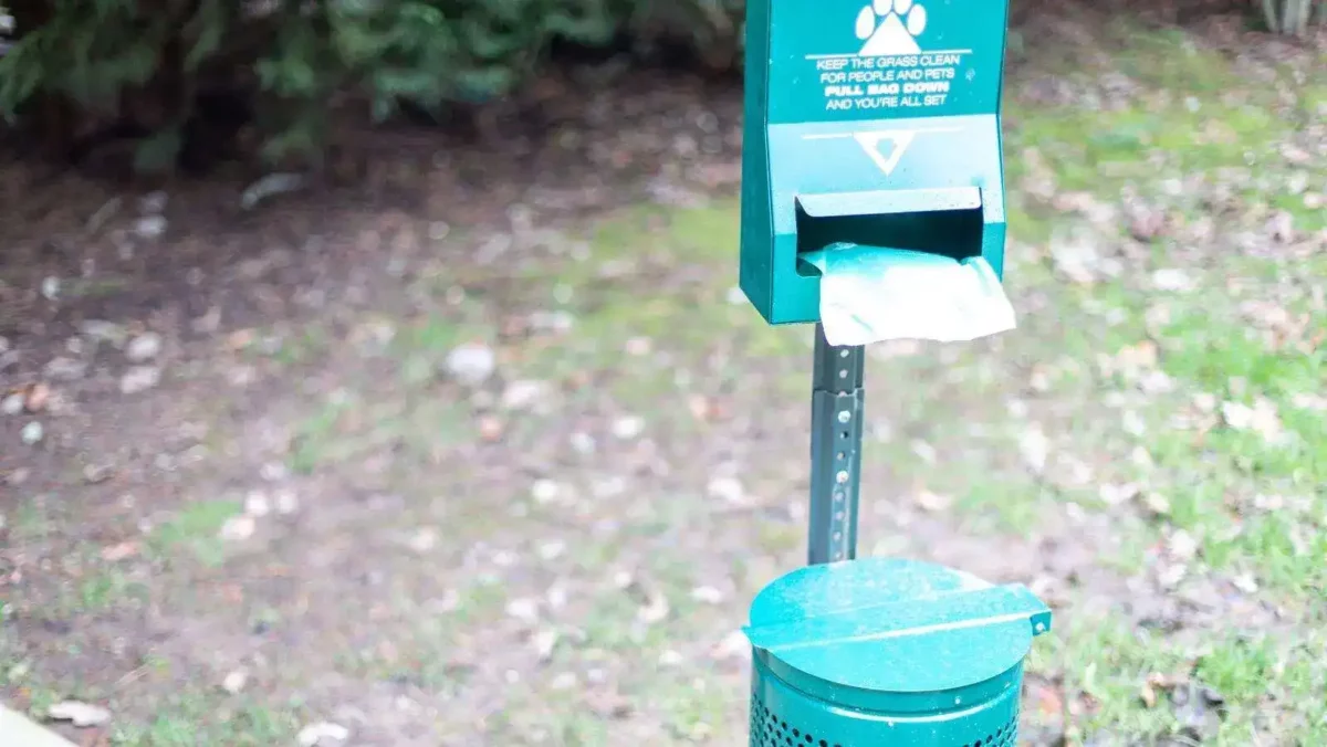 5 options for what to do with dog poop until garbage day 3