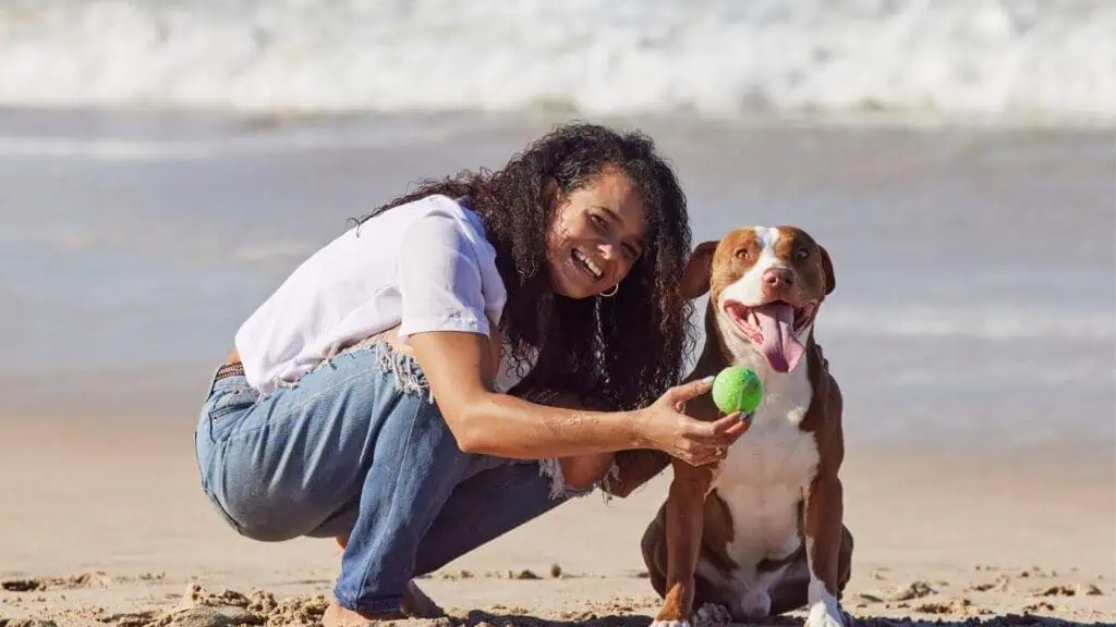 Our favorite games to play with dogs outside list