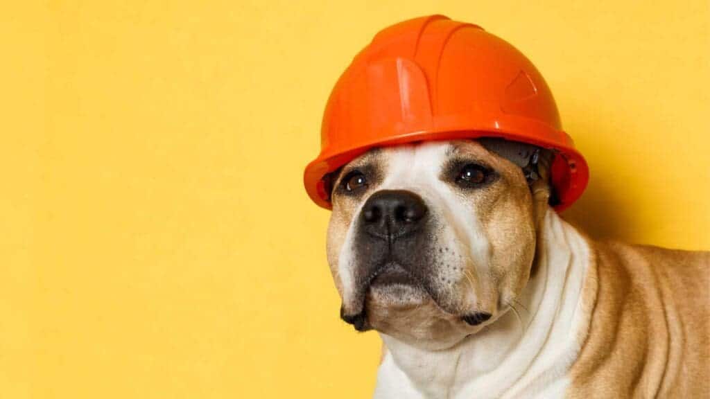 Safety is important, especially with high important activity