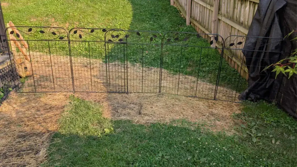 block off areas that arent safe for your dog 1 Blocking off sections of your yard can help make your yard safer and easier recovery from injuries.
