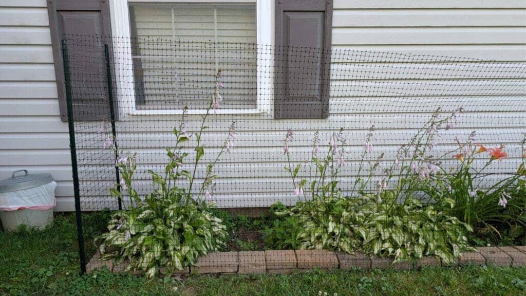 Create your own fenced garden Creating a fenced garden is an easy way to make your yard more dog friendly and keep your pup out of your plants