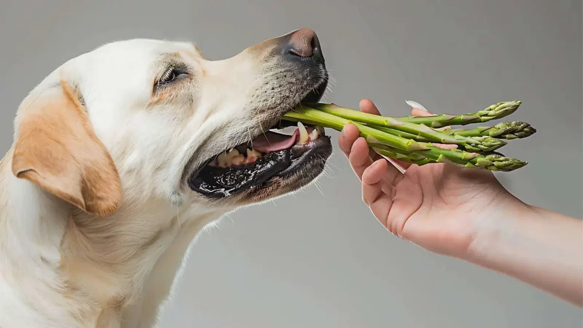 Although dogs can eat a lot of vegetables, some are toxic and bad for your dog