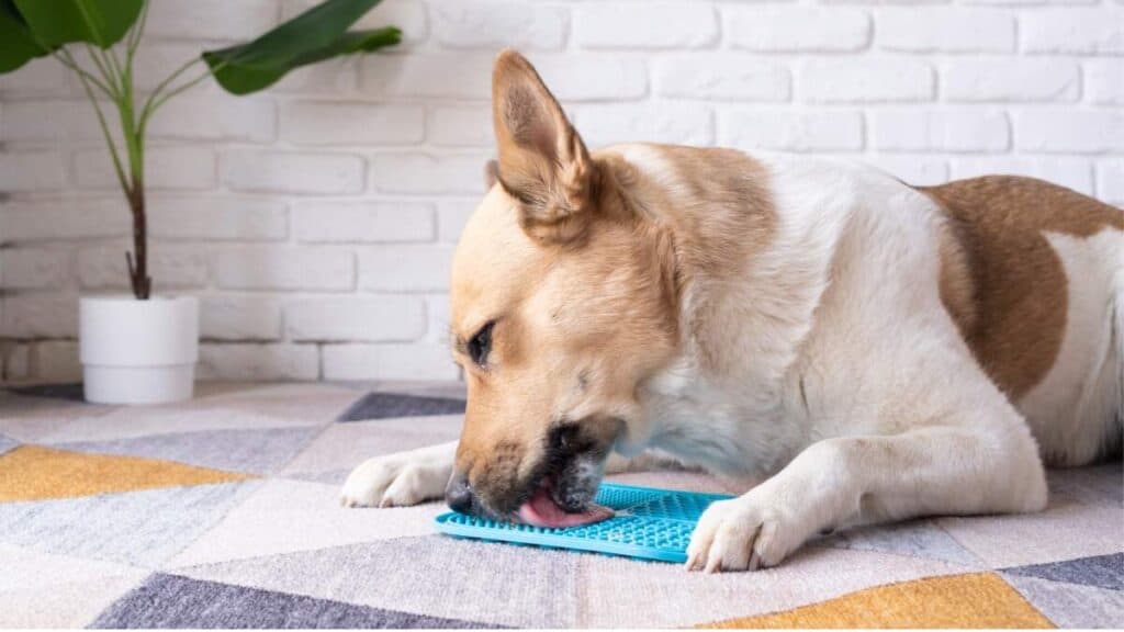 Frozen enrichment Using low calorie fillers in frozen enrichment is a great way to entertain your dog without worrying about their weight.