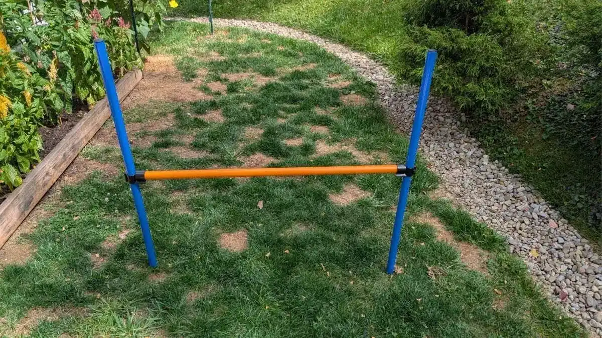 premade options Trixie's agility dog jump is a great place to start for a beginner