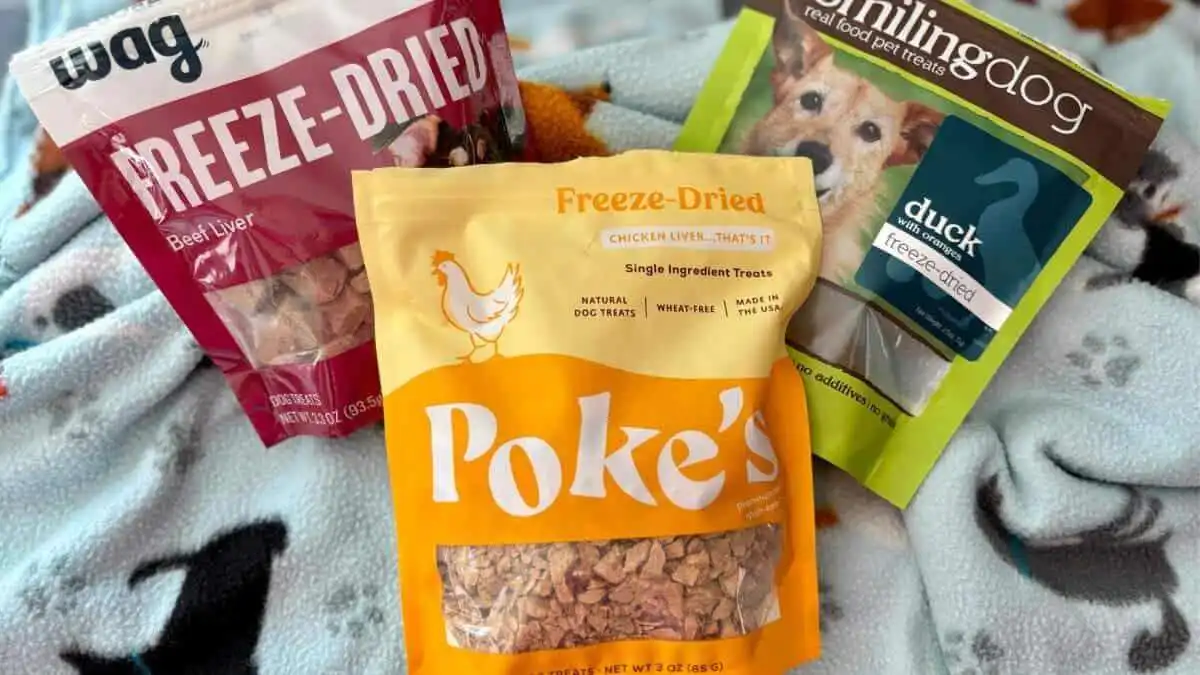 Freeze-dried dog treats are our dog's favorite low calorie dog treats