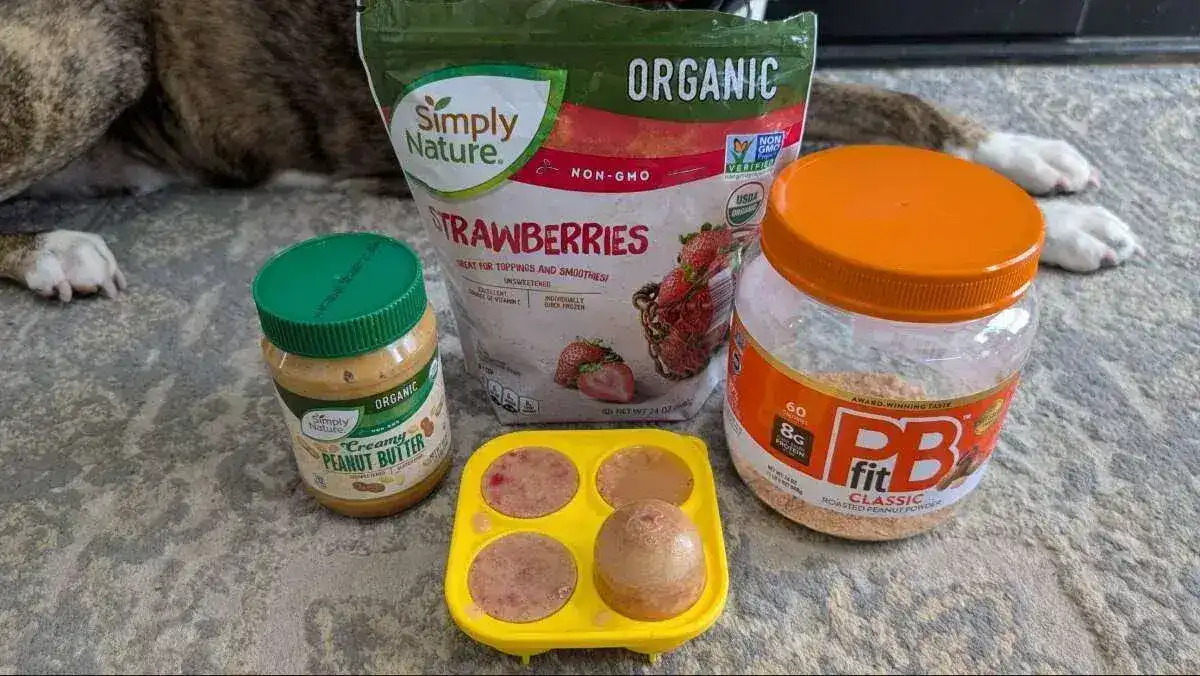 Flavored ice cubes are a great way to try frozen enrichment with your dog