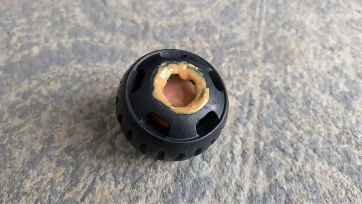 If your dog isn't sure what to do, add peanut butter to encourage licking on your frozen enrichment