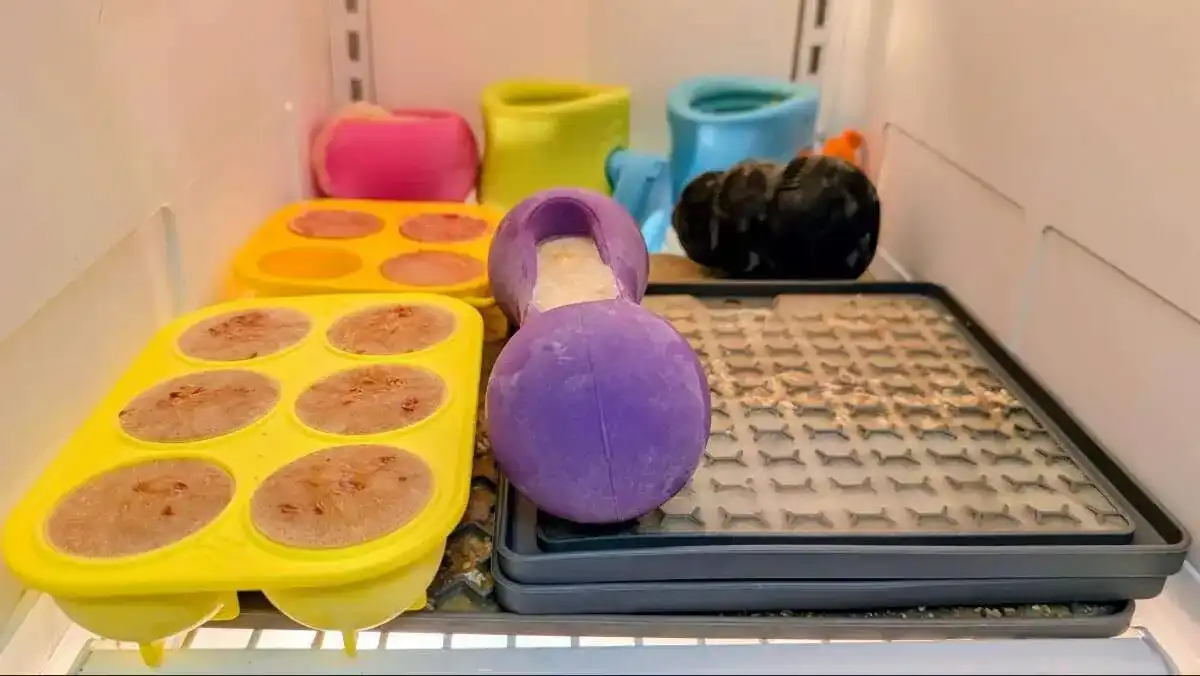 Making frozen enrichment for dogs in batches is much easier and lasts a long time in the freezer