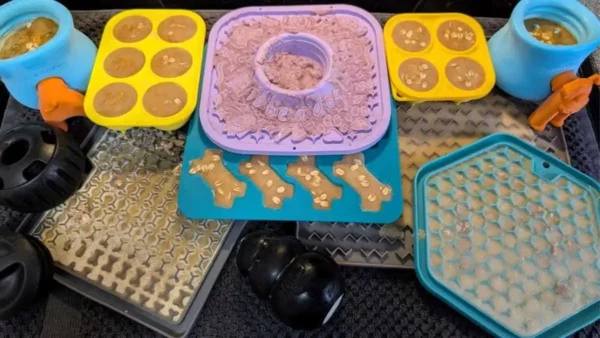 Frozen enrichment for dogs: 7 easy ideas your dog will love