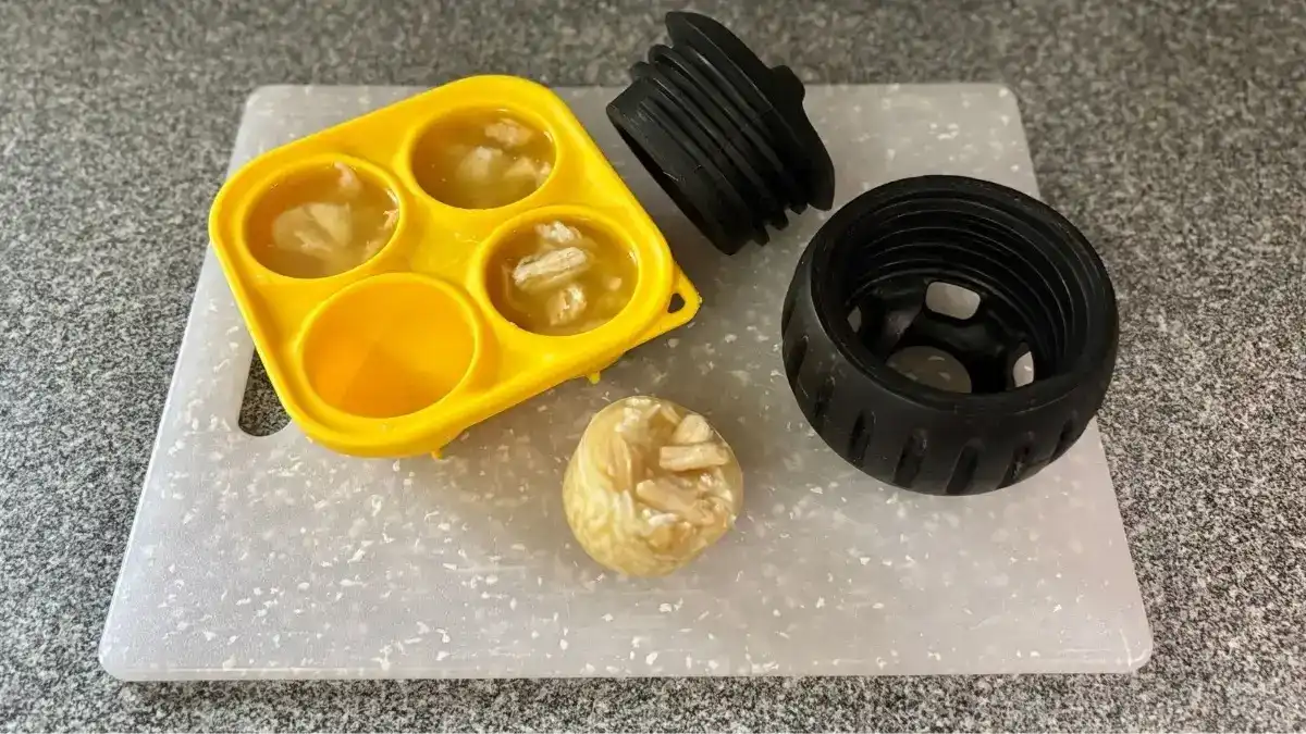 Chicken, broth, and rice pupsicle recipes