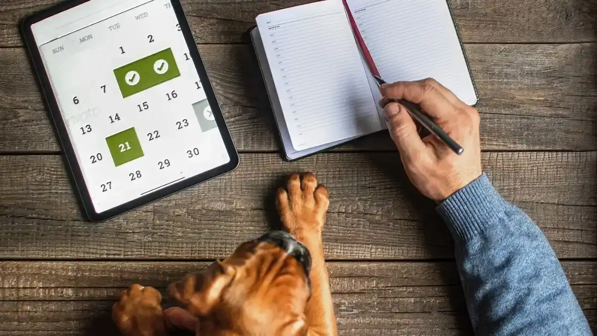 Image of a brown dog in front of a calendar and planner with human