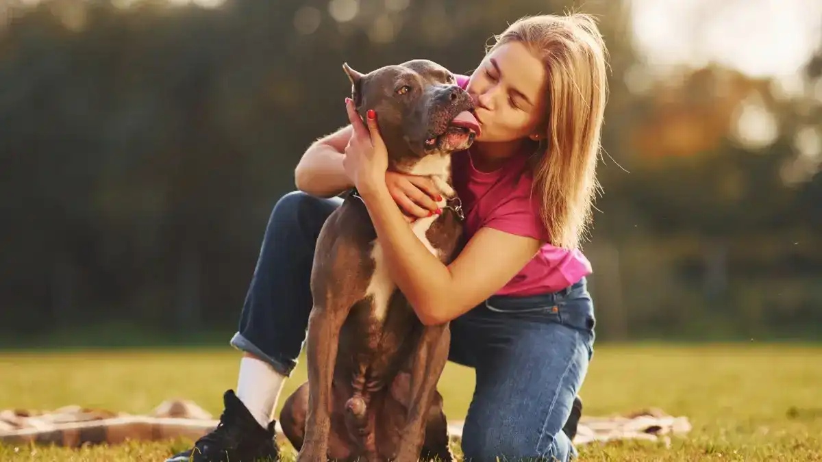 Avoiding common mistakes can make your training much easier and more fun