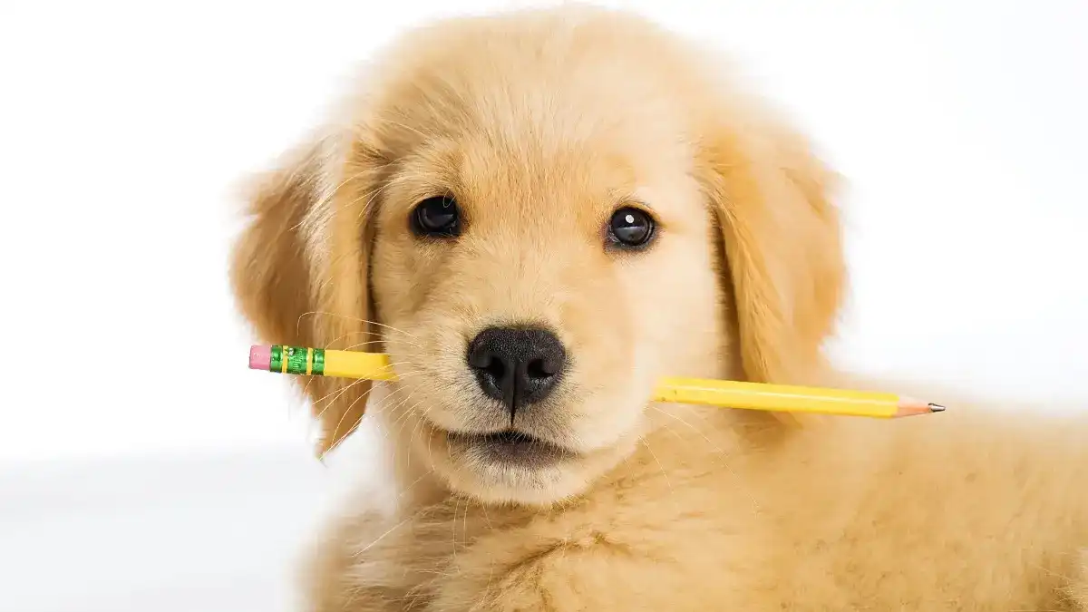 Monitoring your progress and adjusting your plan is an important part of training