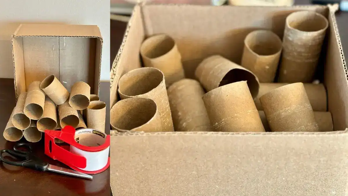 Interactive toys are a great way to entertain your dog inside