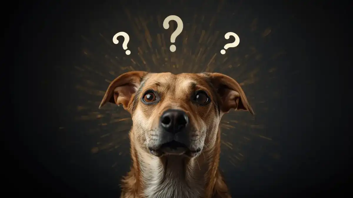 Why does having a training plan matter