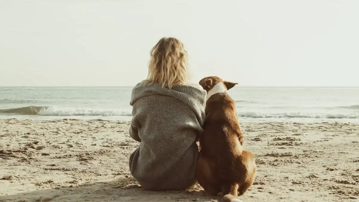 Woman and brown dog sitting on the beach staring at the waves